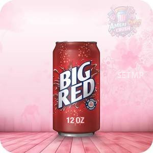 12oz Can Big Red